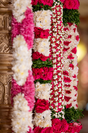 Wedding Full Set-16