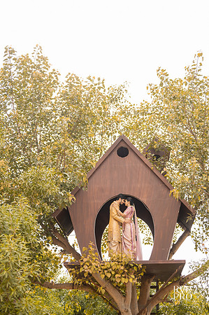Couple Shoot-67
