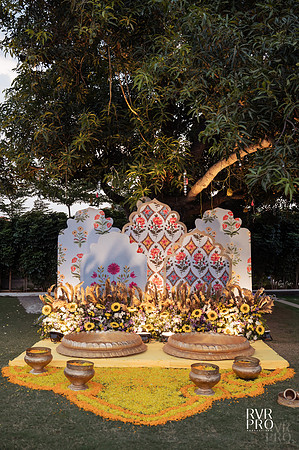 Haldi-5