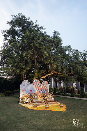 Haldi-4