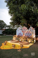 Haldi-7