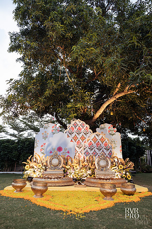 Haldi-11
