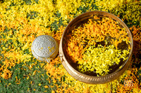 Haldi-14