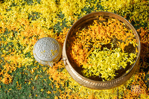 Haldi-14