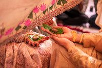 Wedding Highlights-18