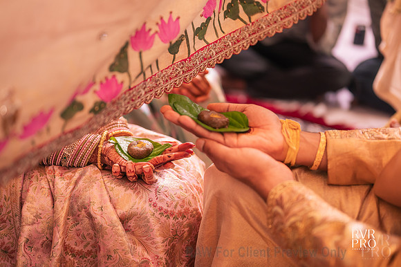 Wedding Highlights-18