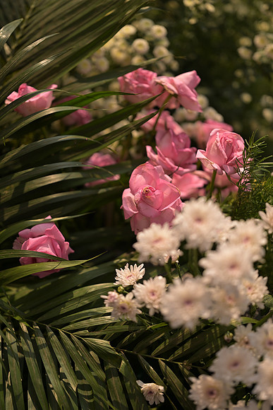 DSC_8204