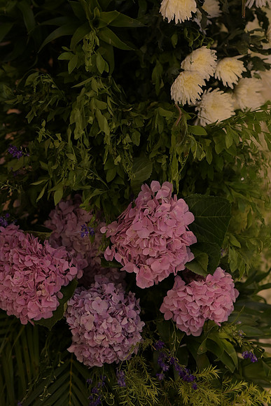 5RV_9193