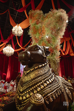 Wedding-39