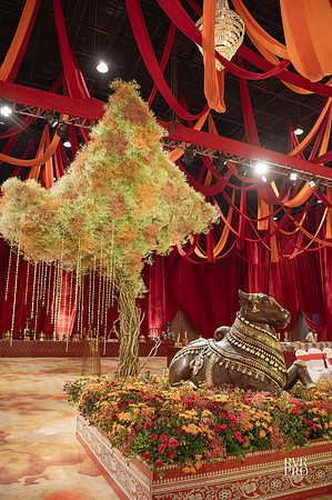 Wedding-40