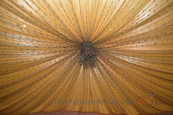 R14_7903