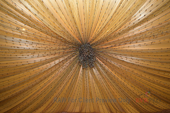R14_7905