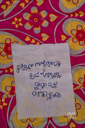 Pellikuthuru-296