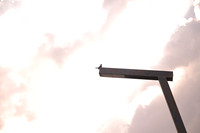 DCS_5416
