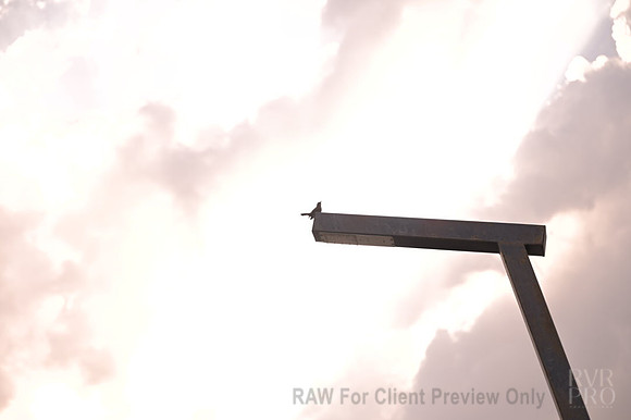 DCS_5416