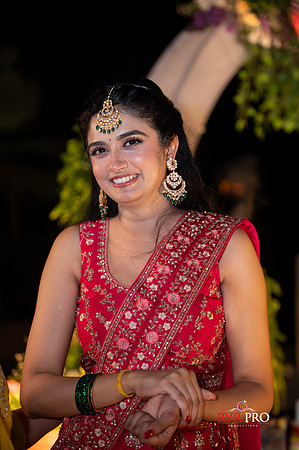 Mehendi-180
