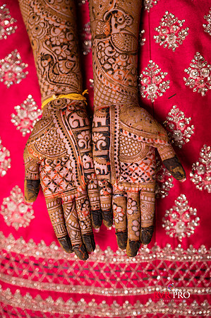 Mehendi-295