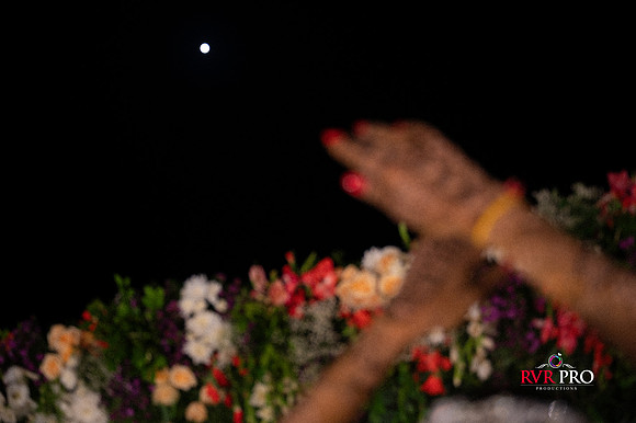Mehendi-262