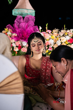 Mehendi-245