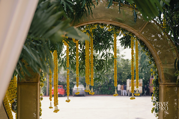 Haldi-6