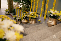 Haldi-7