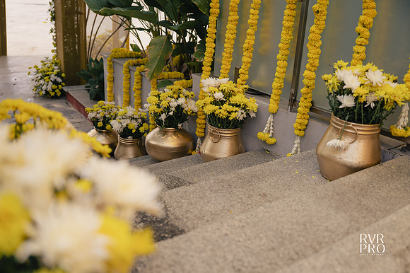 Haldi-7