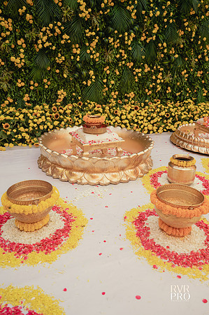 Haldi-14