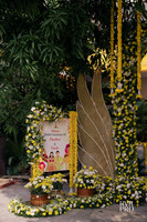 Haldi-5