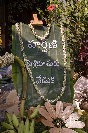 Pellikuthuru-14