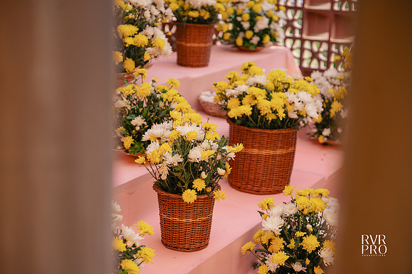 Haldi-18