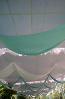 DCS_6895