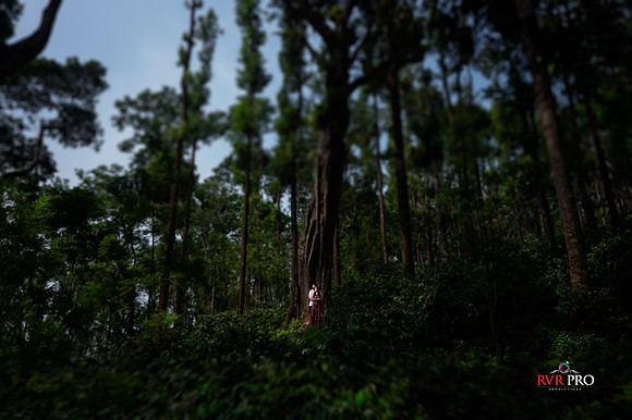 7RV_9436-Edit-Edit