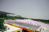 Haldi-2