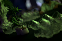 DCS_2401