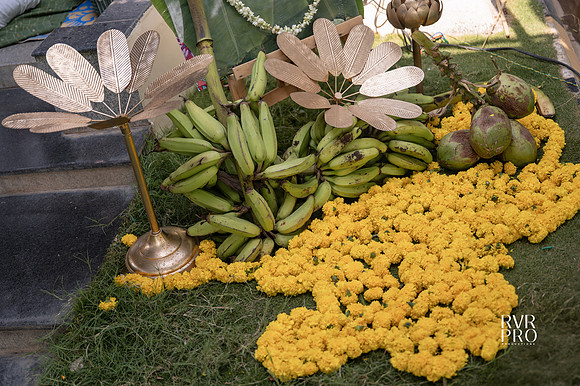Pellikuthuru-15