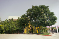 Haldi-3