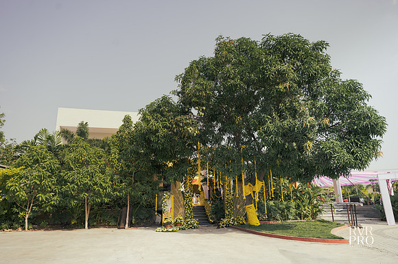Haldi-3