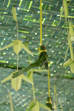 Pellikuthuru-4