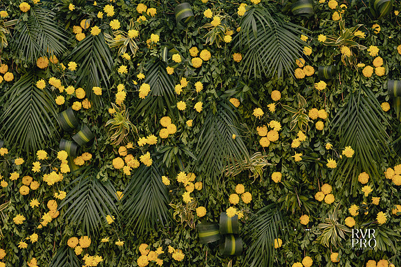 Haldi-16
