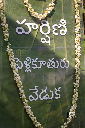 Pellikuthuru-16