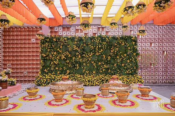 Haldi-11