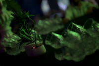 DCS_2402