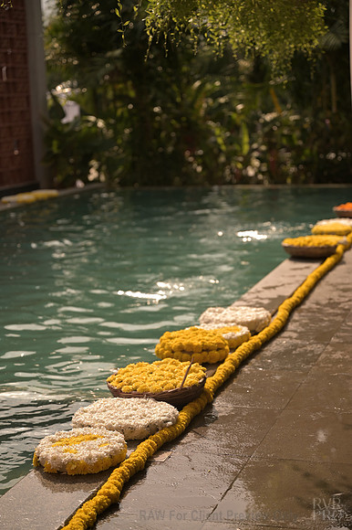 DCS_3824