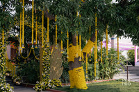 Haldi-4
