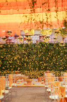 Haldi-9