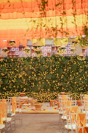 Haldi-9