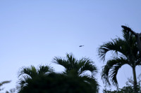 DCS_0918