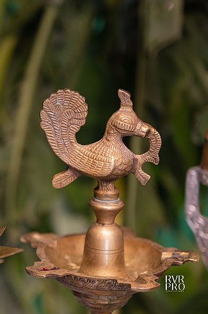Pellikuthuru-35