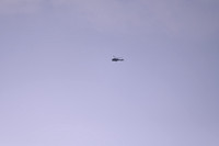 DCS_0920