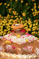 Haldi-15